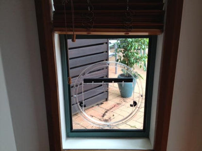 Transcat Cat Door - Clear