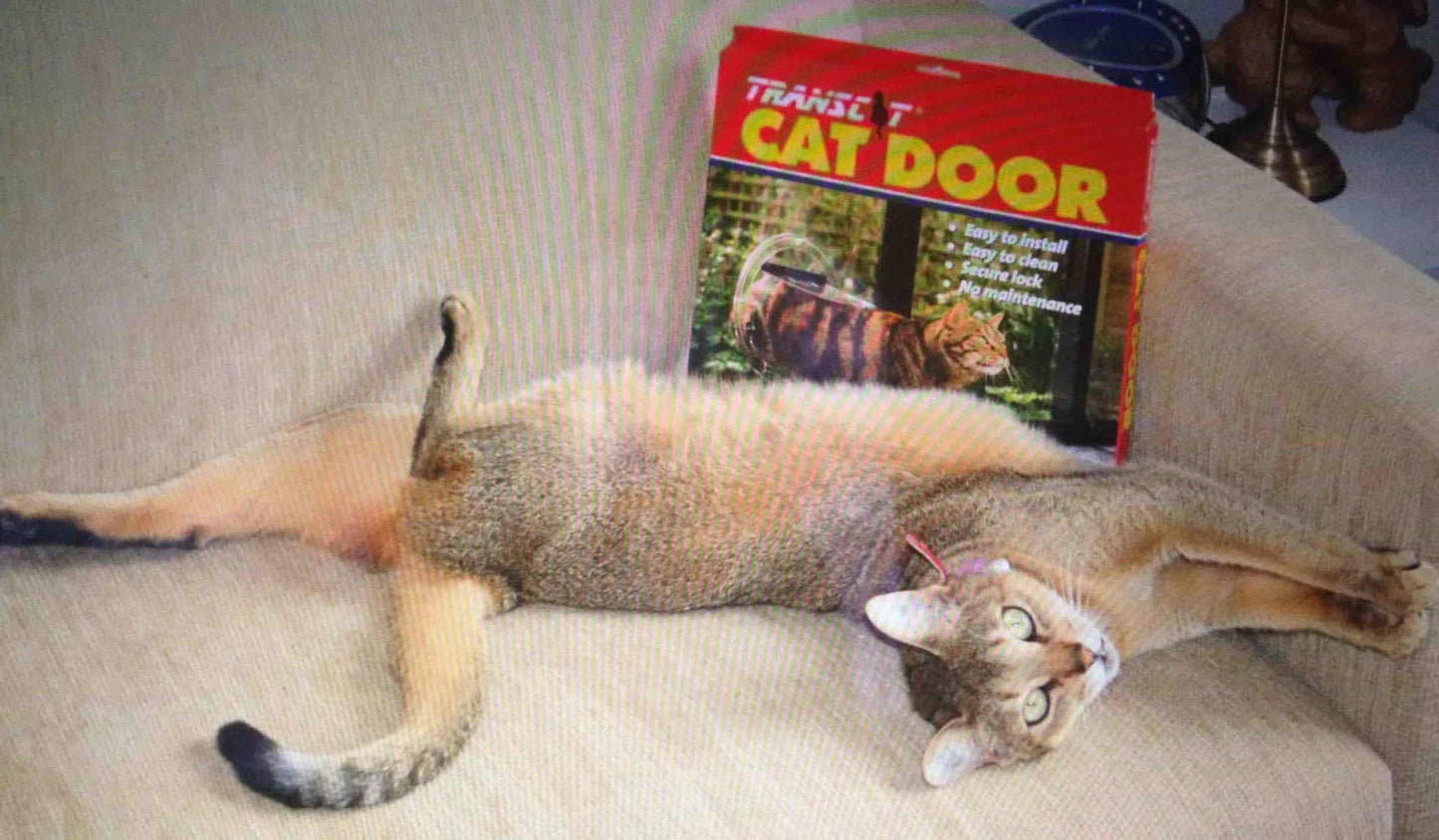 Transcat Cat Door - Clear