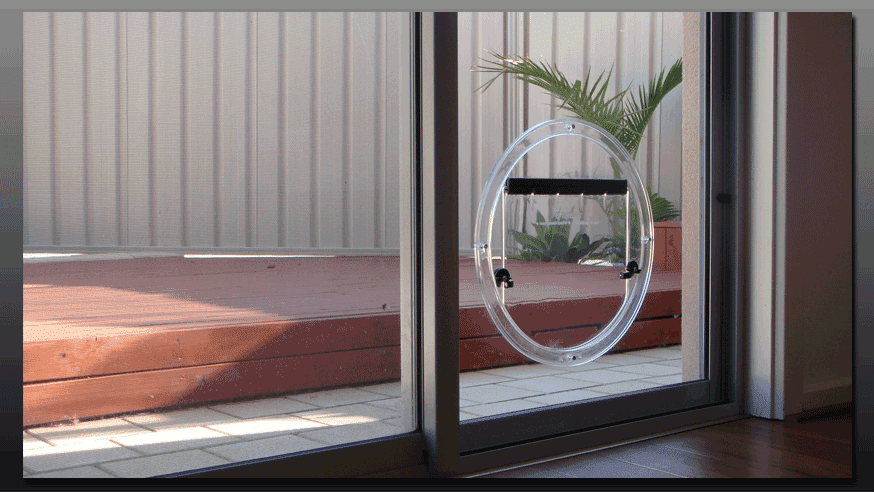 Transcat Cat Door - Clear