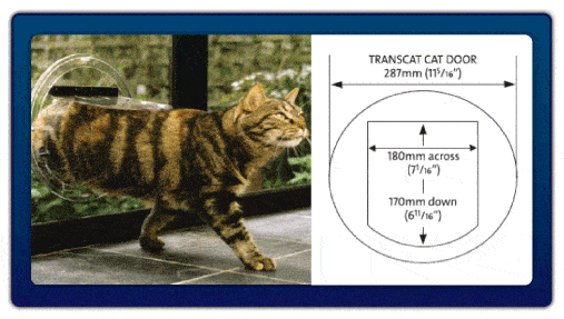 Transcat Cat Door - Clear