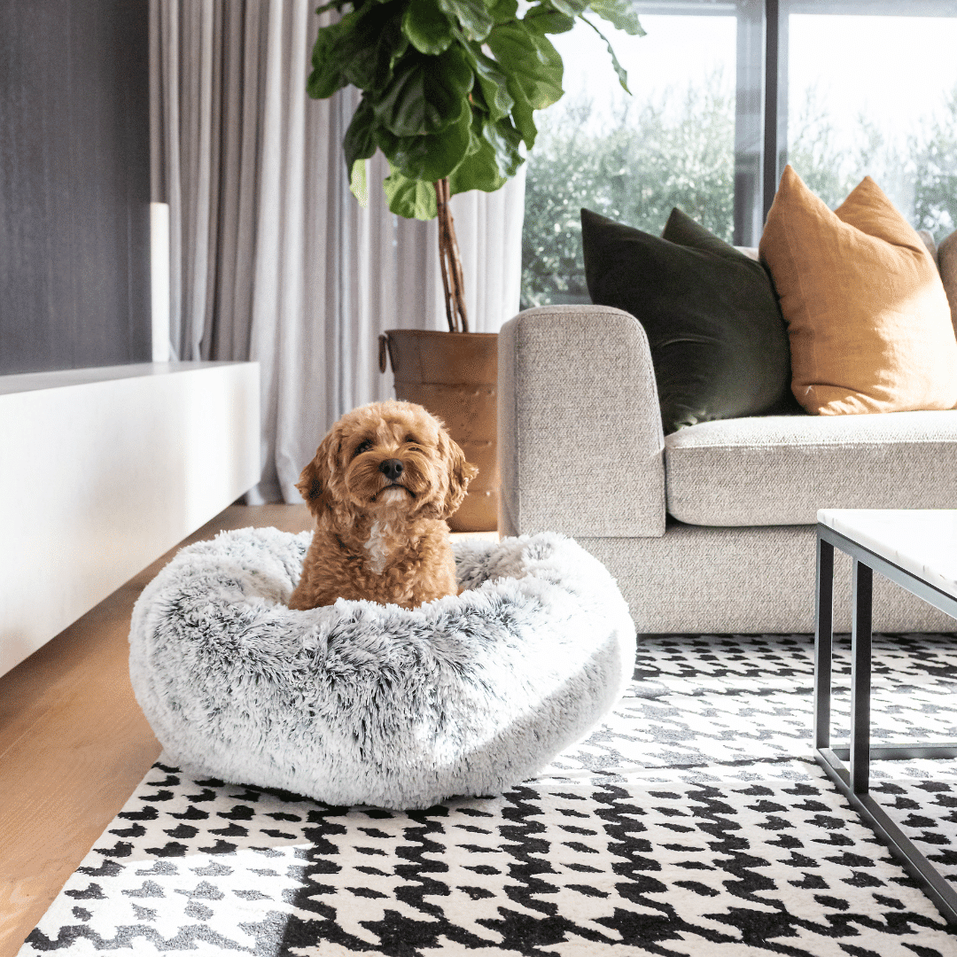 Superior Pet Goods Curl Up Cloud Calming Dog Bed Dove Grey