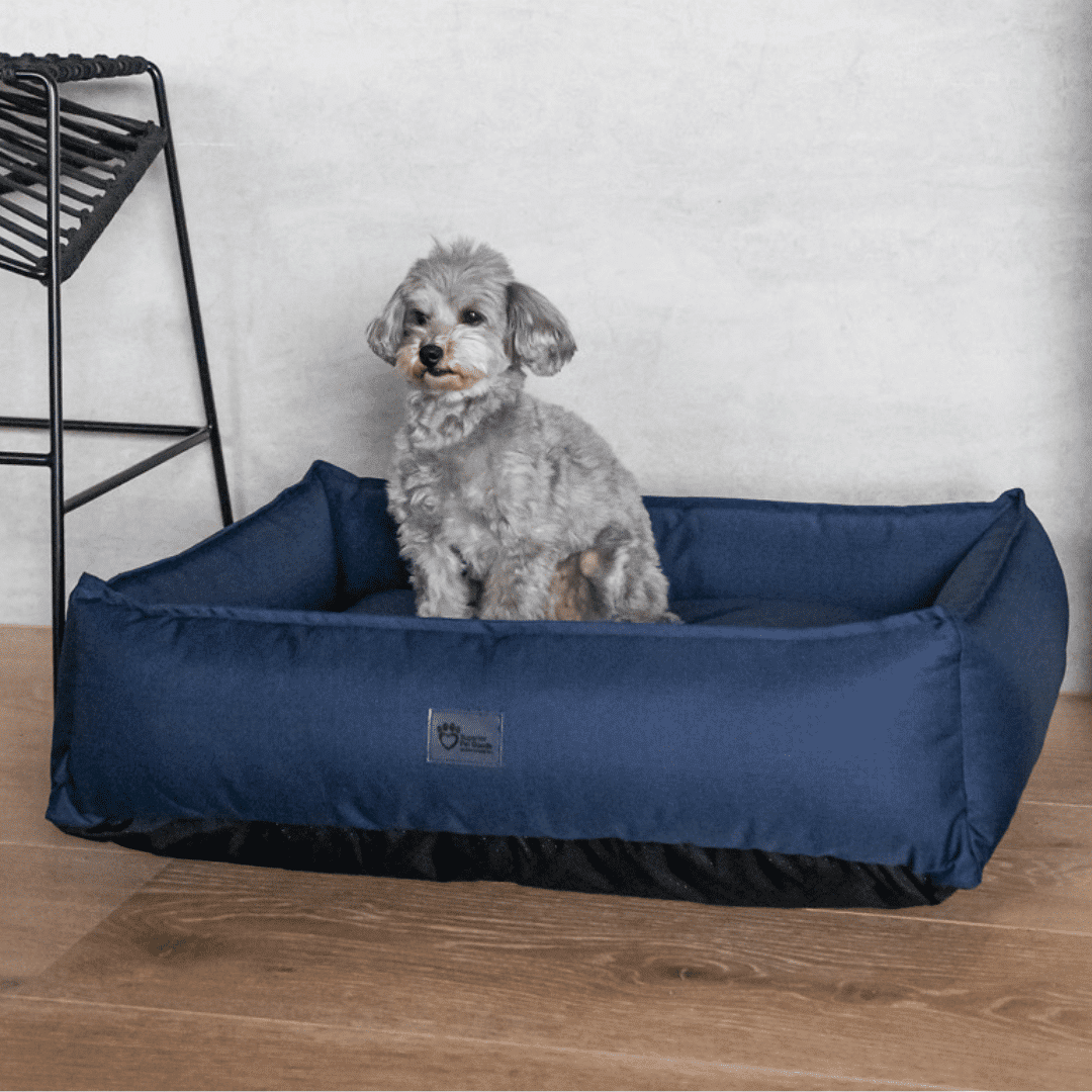 Superior Pet Goods Ripstop Dog Lounger Bondi Blue