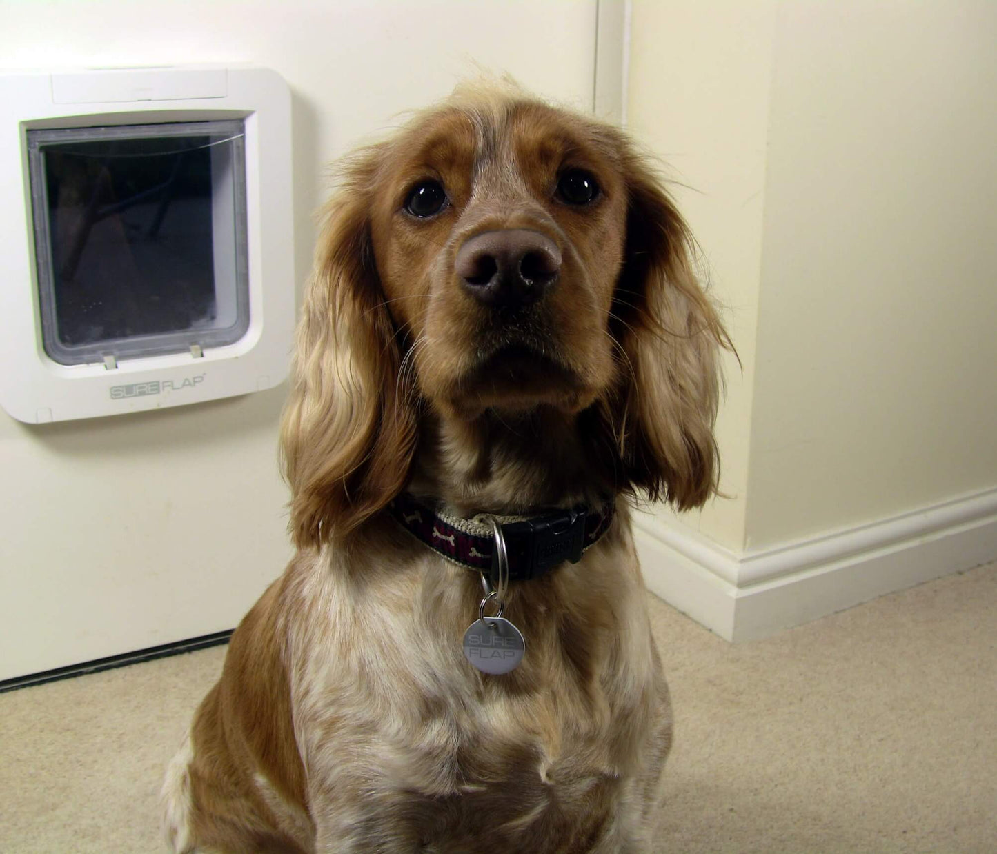 SureFlap Microchip Pet Door Connect + Hub SET -  App Controlled Microchip Technology