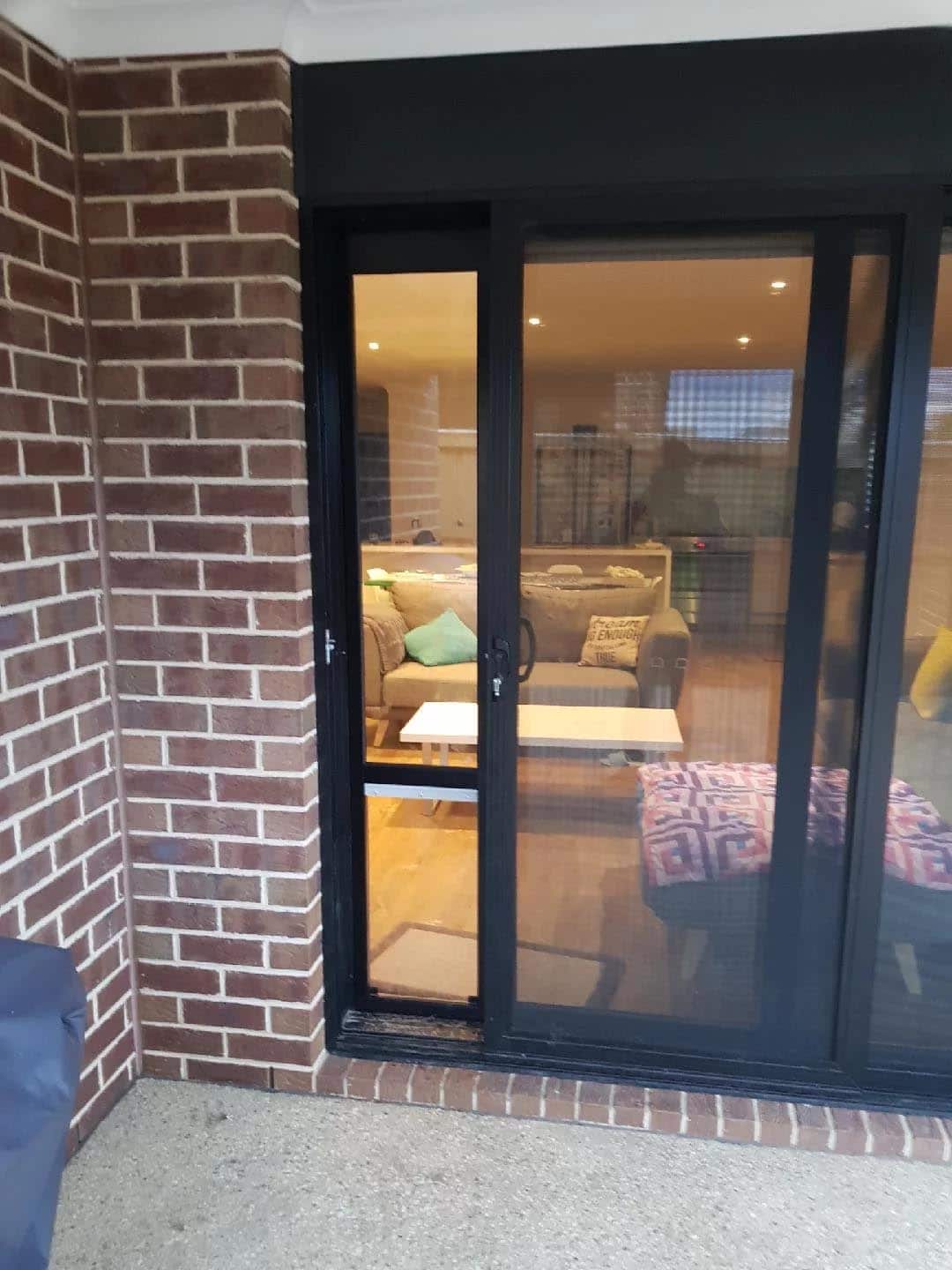 XL Pet Door Insert for a Sliding Door