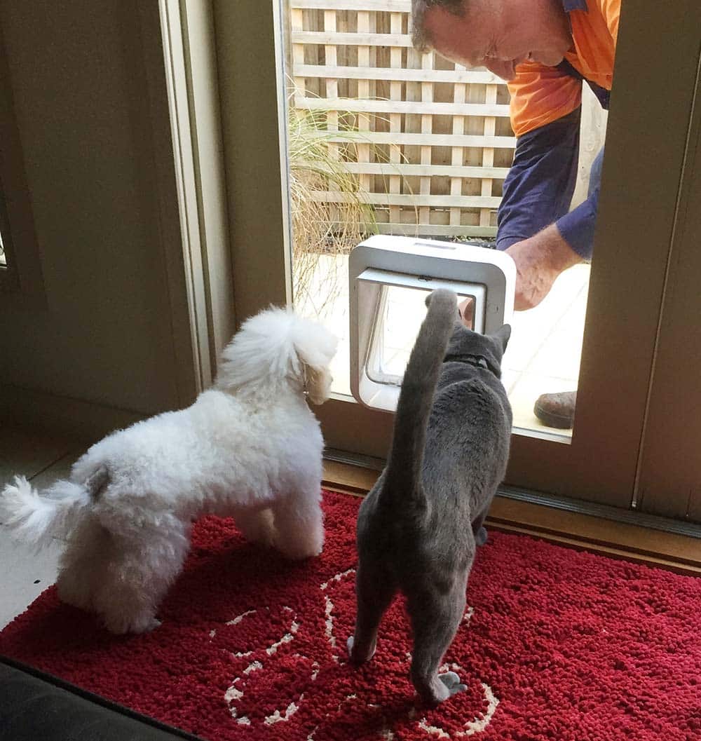 Sureflap Pet Door Mounting Adaptor - Large Size