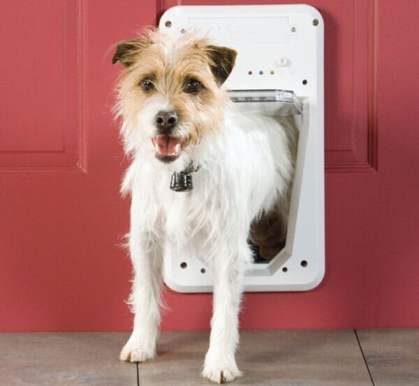 Smart Pet Door