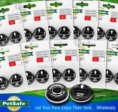 PetSafe 6 Volt Lithium Battery (2-Pack) RFA-67D-11