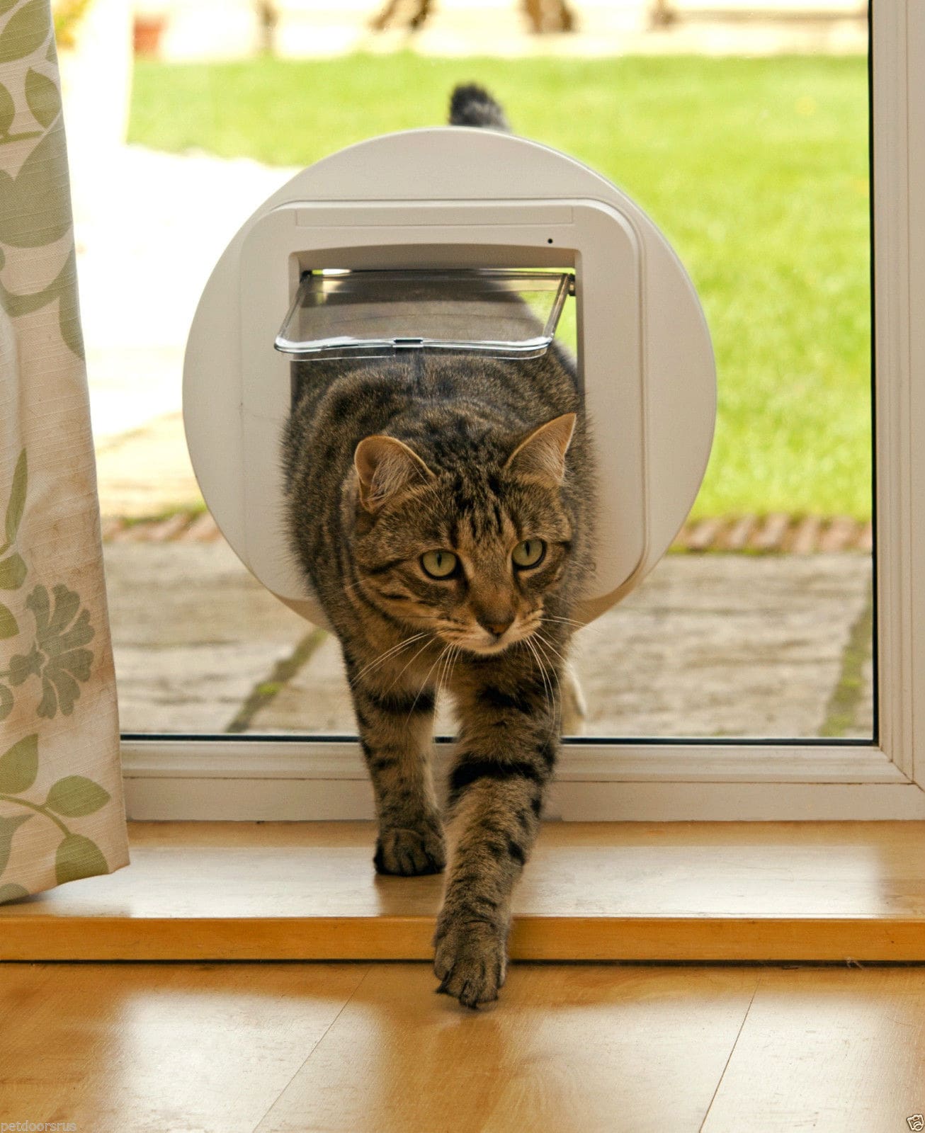 Sureflap Glass Mount Adaptor - Small Size For Microchip Cat Door / Dual Scan