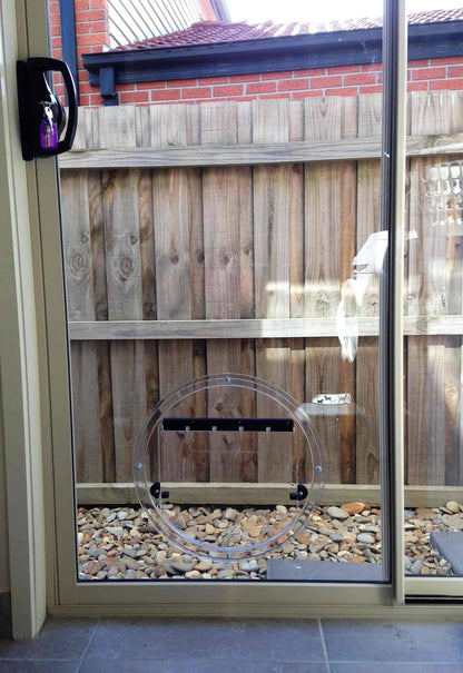 Transcat Small To Medium Dog Door - Clear