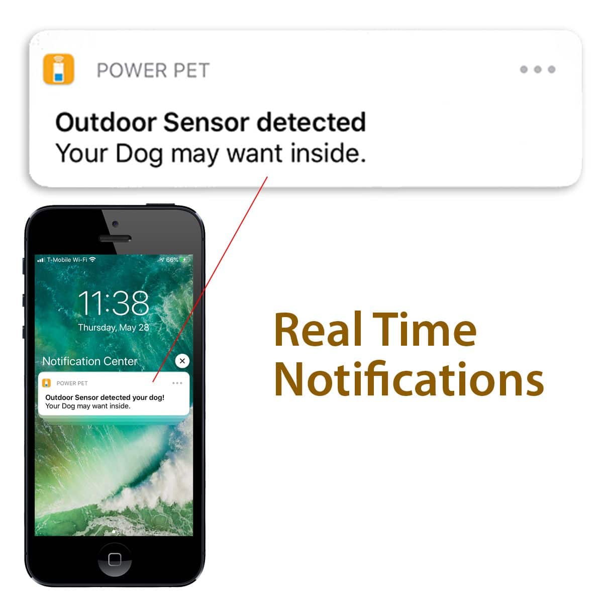 High Tech Automated Pet Door – MEDIUM WiFi Control